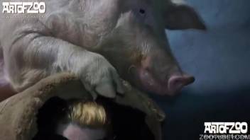 Massive swine barely ejaculates inside my spouse's smooth-shaven vagina