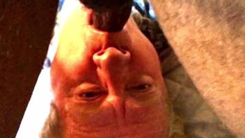 Stunning animal-loving father blowing cock on webcam