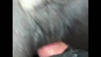 Sultry female horse's orifice being overpowered in a complimentary online clip
