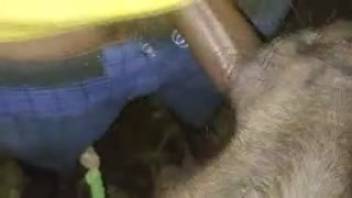 Guy orally penetrating a hot wild chick with his massive dick