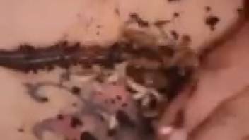 Filthy amateur bestiality erotica featuring super kinky poop play sequences