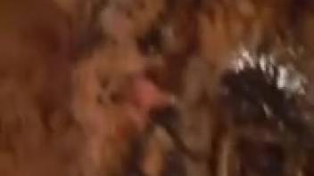 Filthy bestiality kink featuring a lady coated in grimy worms