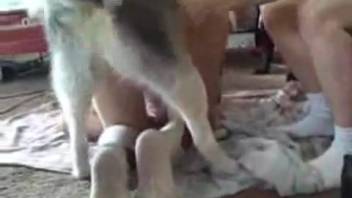 Steamy doggy-style sex encounter with a sexy dark-haired babe
