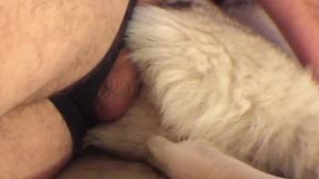 Intense canine erotica gets aroused animal park stud craving to ejaculate internally