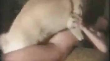 Submissive zoophile almost crying during hardcore sex