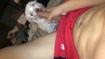 Man's massive dick being satisfied by a small canine