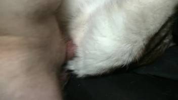 Man thrusts his dick deep into a creature's narrow opening