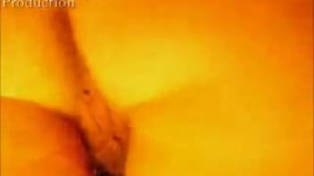 Close-up view of a female's pussy penetrated by a canine