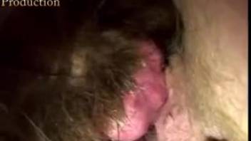 Intimate close-up of wet cunts and bushy dicks