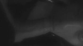 Midnight bestiality video features a guy having sex with his dog