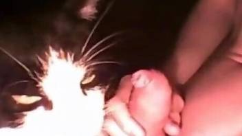 Kitty licking a dude's cute cock in a zoo oral video