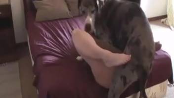 Hot MILF getting fucked with her legs lifted high