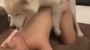 Rear-entry banging film with intense canine passion action