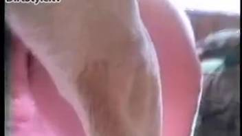 Intense bestiality XXX videos featuring a big-butted mature woman