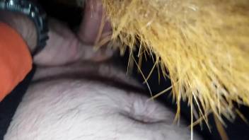 Massive equine slit overpowered by a hung stud