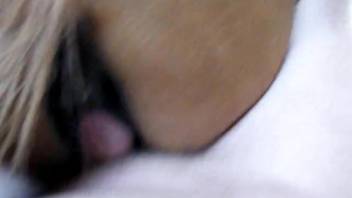 Animal enthusiast with a fetish wants to ejaculate inside a vagina and he's truly serious about it.