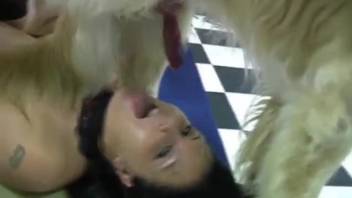 Attractive ladies messing around with the sexiest canine