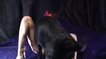Disguised girl with a round ass banging her favorite pooch
