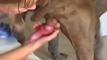 Sexy amateur deepthroating a dog's dick BIG TIME