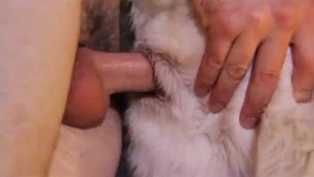 Guy thrusts his thick dick into the monster's opening