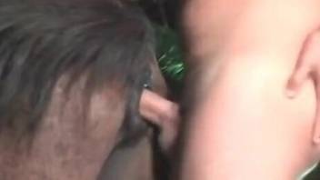 Dude puts his hard-as-fuck rager in a mare's hole