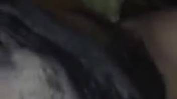 Astonishing bestiality scene featuring a promiscuous pooch