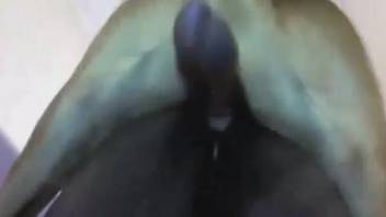 Black woman in a leotard gets screwed by a mongrel