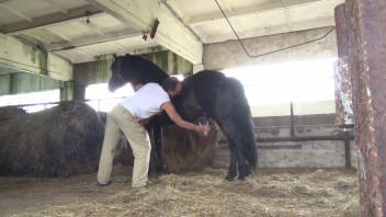 Naked woman savors delicious horse cock in plenty of sessions