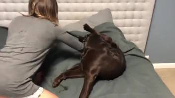 Curvy ass hottie getting hammered by a massive ebony monster