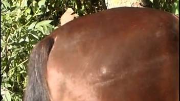 Petite blond teen rough horse fucking in nature settings