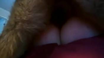 Arrogant zoophile chooses to let the dog creampie her