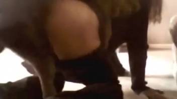 Thrilling orgy with a promiscuous beast-fucker