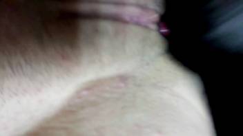 Sexy babe climaxes even as the pooch turns rough