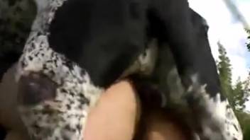 Canine mounts nude female in outdoor anal bestiality fetish