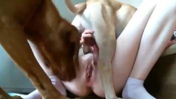 Sweet amateur dog fucked and licked in merciless XXX