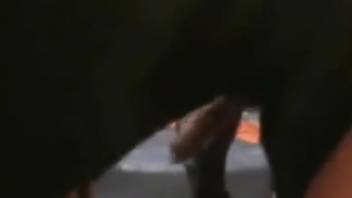 Sultry Latina babe enjoying intense animal sex
