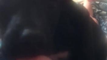 Guy thrusting his penis into that creature's narrow opening