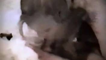 Busty chick loving intense bestiality action in ultra HD