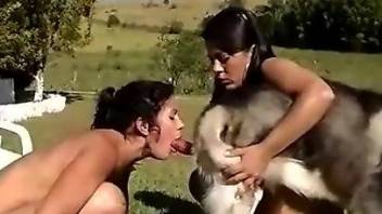 Two Latin girls sucking on the same animal dick