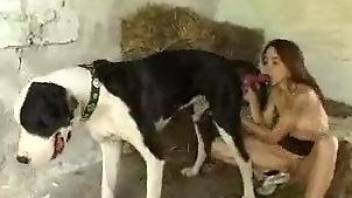 Sexy dog enjoying passionate oral with a dirty babe