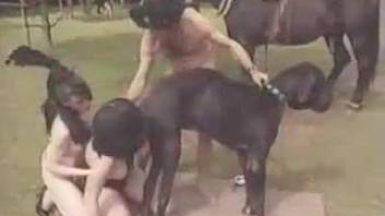 Hot ladies sharing a magnificent huge dick
