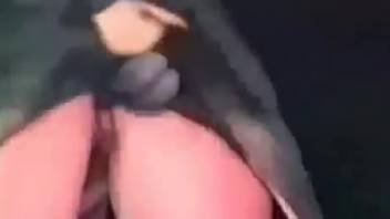 Slender woman relishes every inch of canine cock in her moist vagina