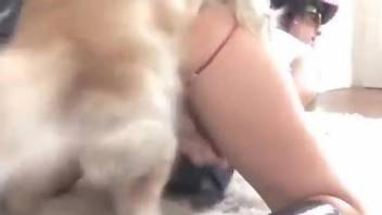 K9 lover getting fucked by her sexed up pet right here