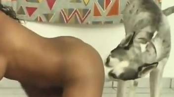 Latina with tan lines tries to handle a horny dog
