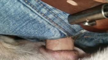 Aroused man thrusts his stiff dick into a fluffy beast for erotic gratification