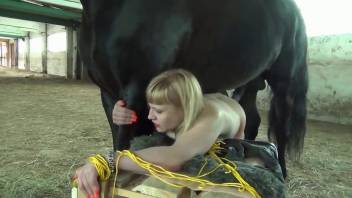 Thick and seductive bondage babe dicked by a horse