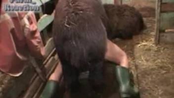 Tight female filmed when severe fucked by a horny lama
