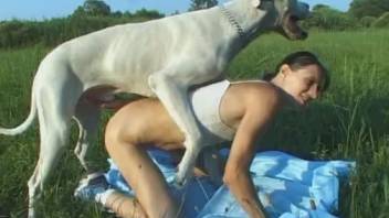 Pale canine elegantly thrusts into my spouse's rear in the butt-to-butt position
