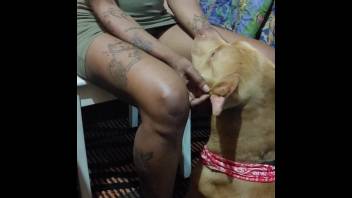 Bare homemade intercourse with a canine results in creampie for unclothed Latina