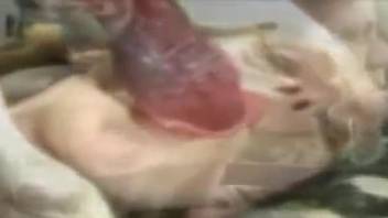 Brown-haired babe taking deep throat from her favorite beast